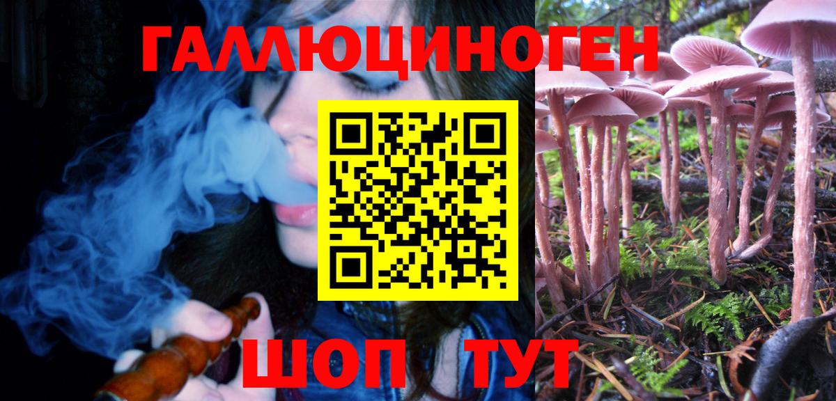 Галлюциногенные грибы Cubensis Сорочинск