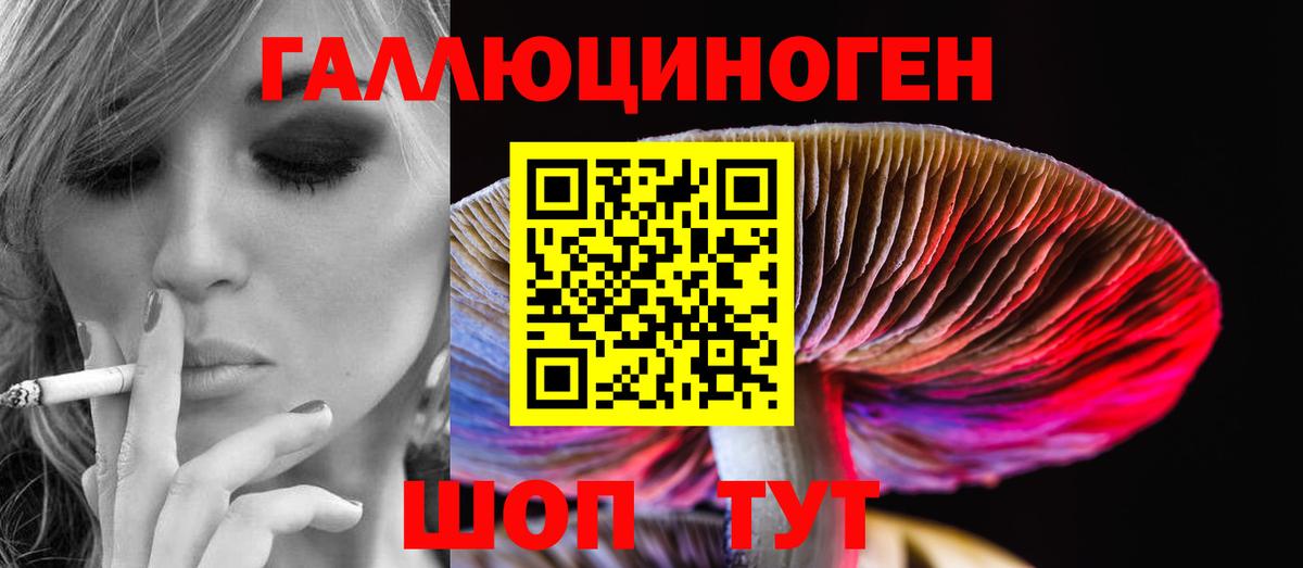 Сорочинск  Псилоцибиновые грибы прущие грибы  Вход с VPN  Псилоцибиновые грибы мухоморы 